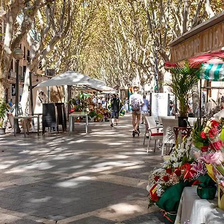 Rambla Palma Center-3